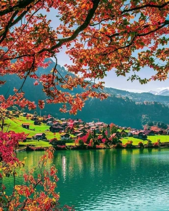 aaa