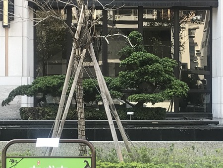 一般文件
